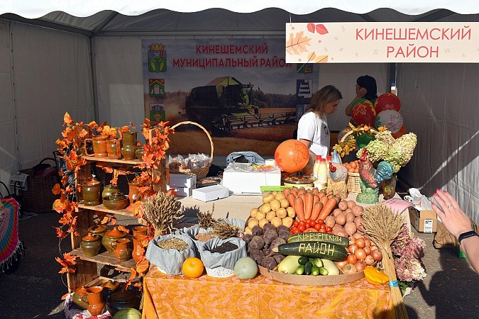 Кинешемский район принял участие в народной ярмарке «День урожая» фото 6