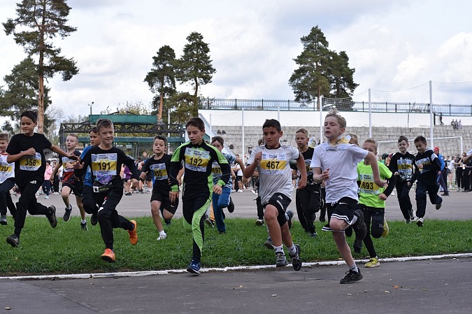 В Кинешме прошел «Кросс нации» фото 8