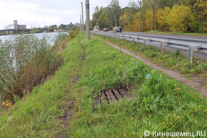 Берег Кинешемки испещрён трёхметровыми ямами фото 2