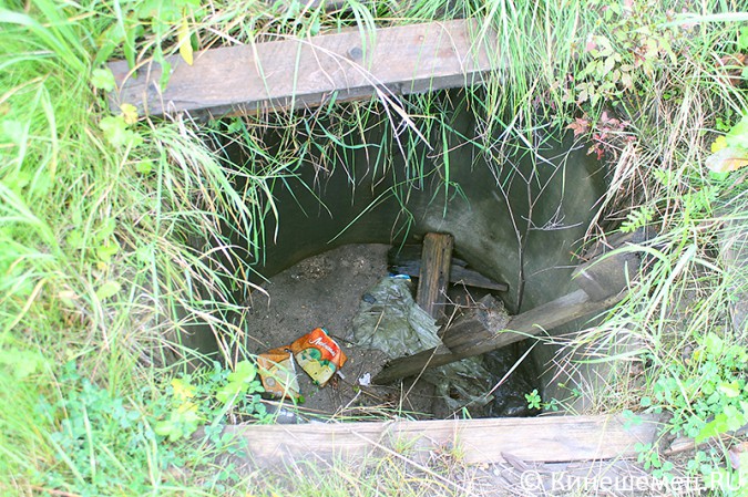 Берег Кинешемки испещрён трёхметровыми ямами фото 5