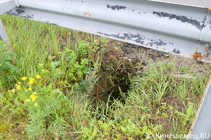 Берег Кинешемки испещрён трёхметровыми ямами фото 6