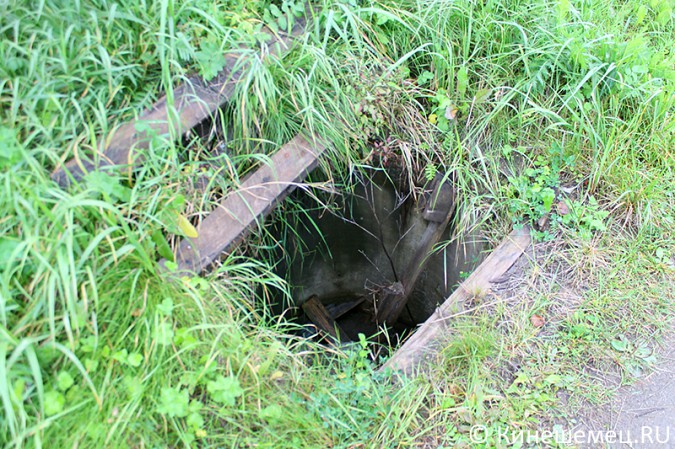 Берег Кинешемки испещрён трёхметровыми ямами фото 3