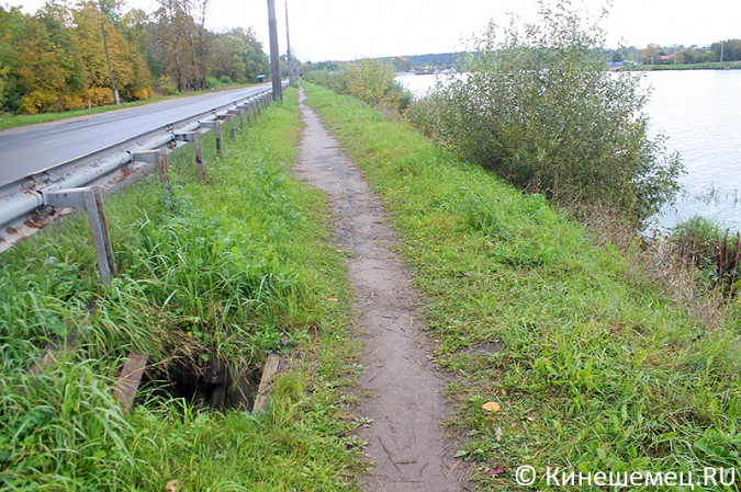 Берег Кинешемки испещрён трёхметровыми ямами фото 4