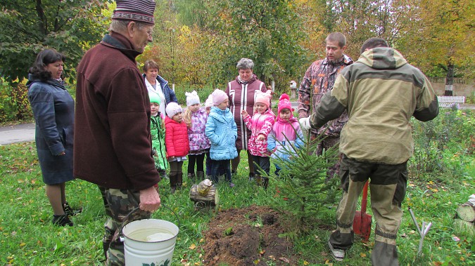 Кинешма приняла участие во всероссийской акции «Живи, лес!» фото 3