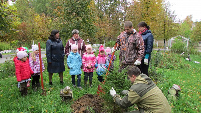 Кинешма приняла участие во всероссийской акции «Живи, лес!» фото 2