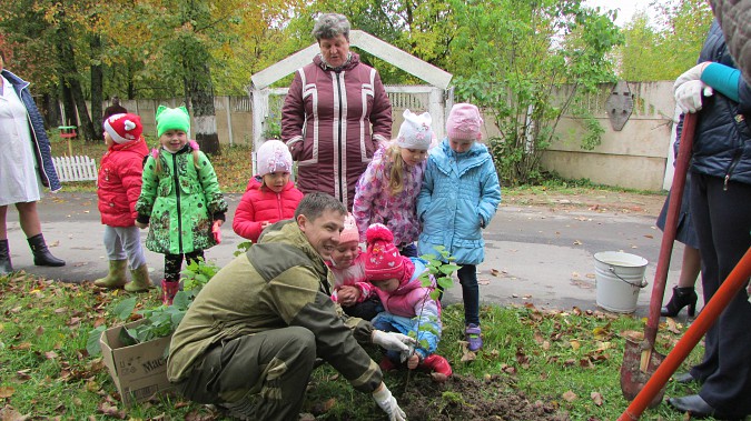 Кинешма приняла участие во всероссийской акции «Живи, лес!» фото 5