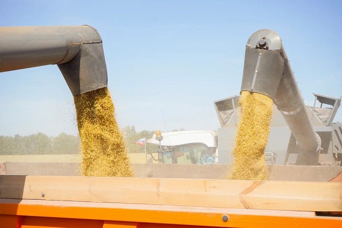 В Ивановской области собрали рекордный за 25 лет урожай зерна фото 2