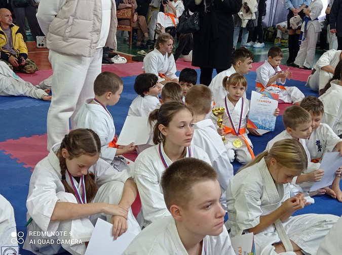 Кинешемцы завоевали награды на турнире по всестилевому каратэ в Наволоках фото 2