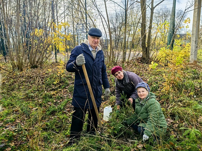 В сквере на пересечении улиц Правды – Менделеева высадили ели фото 5