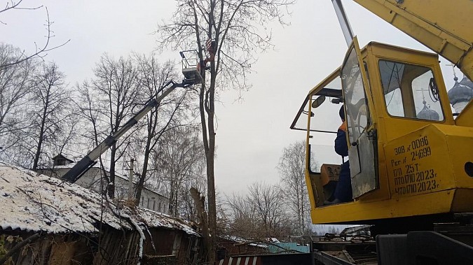 За минувший месяц УГХ выпилены и кронированы десятки аварийных деревьев фото 2