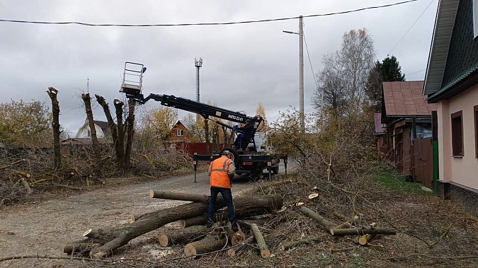 За минувший месяц УГХ выпилены и кронированы десятки аварийных деревьев фото 3