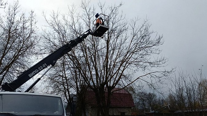 За минувший месяц УГХ выпилены и кронированы десятки аварийных деревьев фото 7