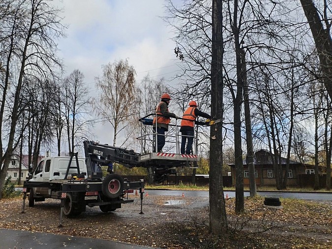 За минувший месяц УГХ выпилены и кронированы десятки аварийных деревьев фото 4