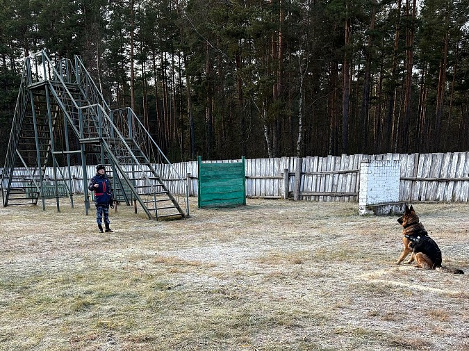 Сотрудники кинешемской колонии стали призерами соревнований среди кинологов фото 2