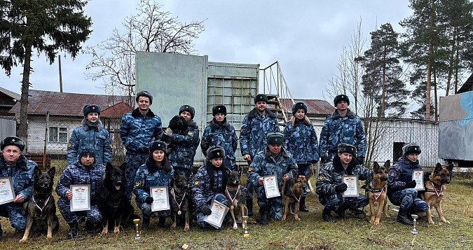 Сотрудники кинешемской колонии стали призерами соревнований среди кинологов фото 5