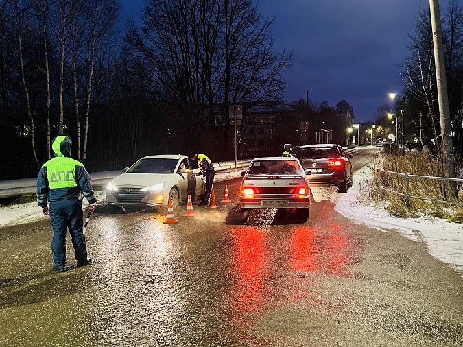 Сотрудники ГИБДД Кинешмы проверили соблюдение правил перевозки детей фото 3