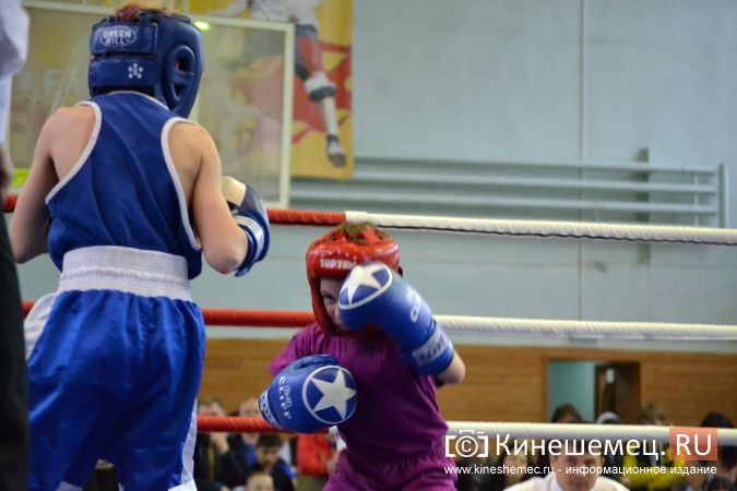 Значение Николая Валуева для российского бокса фото 2