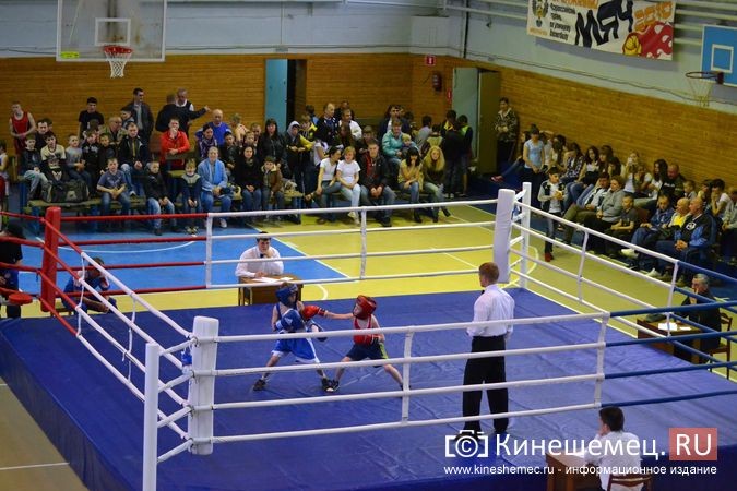 Значение Николая Валуева для российского бокса фото 3