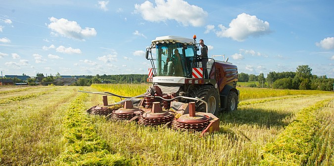 Производство тресты технических культур в Ивановской области выросло в 2,8 раза фото 2