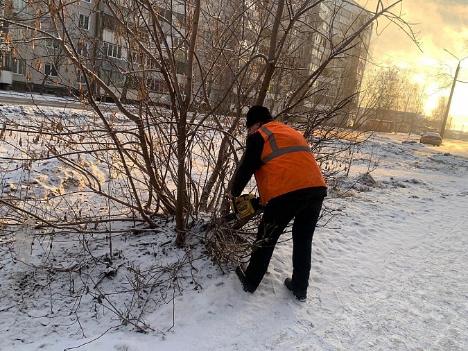 УГХ кронирует деревья и кустарники на улицах Кинешмы фото 3