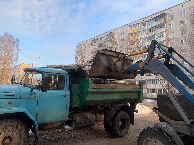 УГХ кронирует деревья и кустарники на улицах Кинешмы фото 4