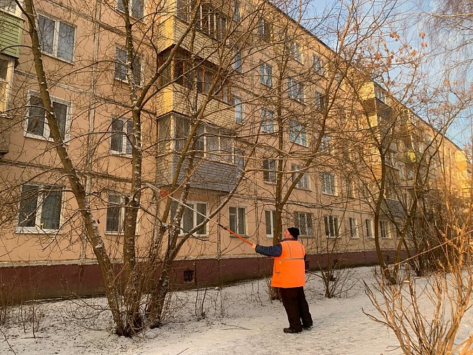 УГХ кронирует деревья и кустарники на улицах Кинешмы фото 2