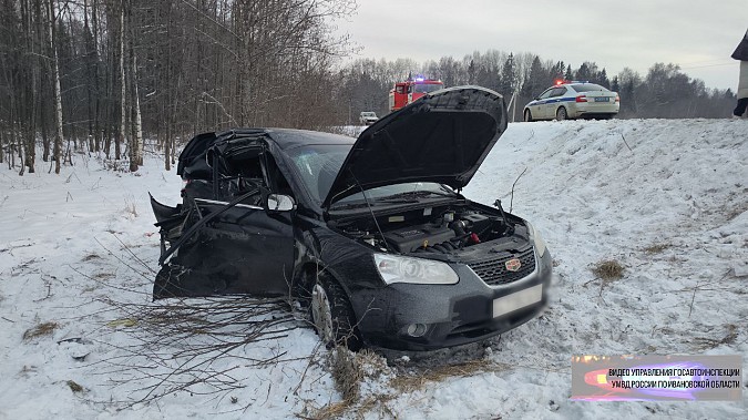 В лобовом столкновении двух иномарок в Родниковском районе погиб мужчина фото 2
