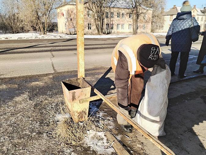 Сквер на «Фабрике №2» очистили от аварийных деревьев фото 6