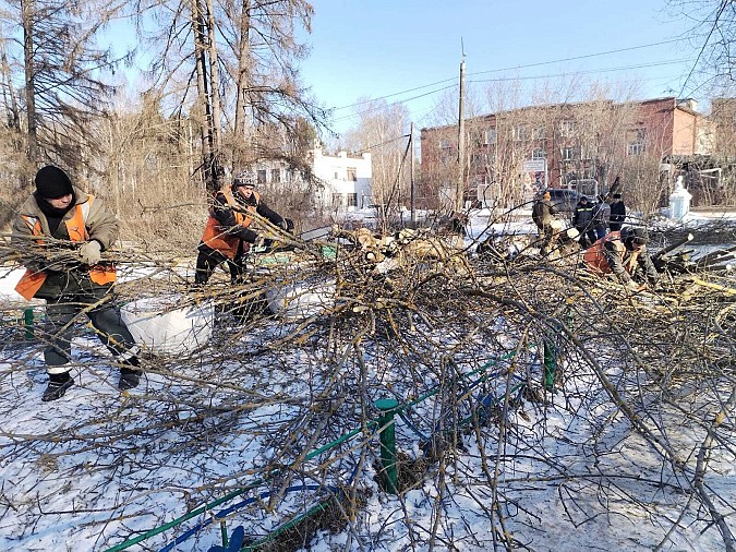 Сквер на «Фабрике №2» очистили от аварийных деревьев фото 3