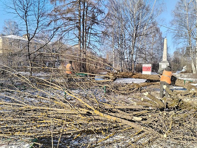 Сквер на «Фабрике №2» очистили от аварийных деревьев фото 2