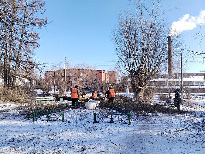 Сквер на «Фабрике №2» очистили от аварийных деревьев фото 4