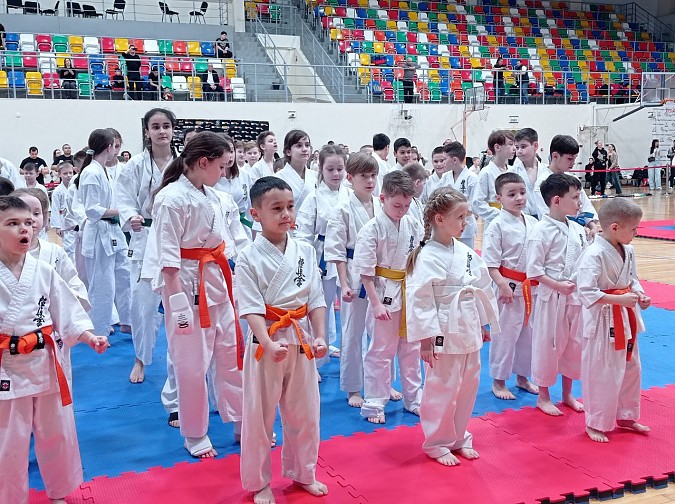 Каратисты Кинешмы выступили на Первенстве ПФО в Казани фото 3