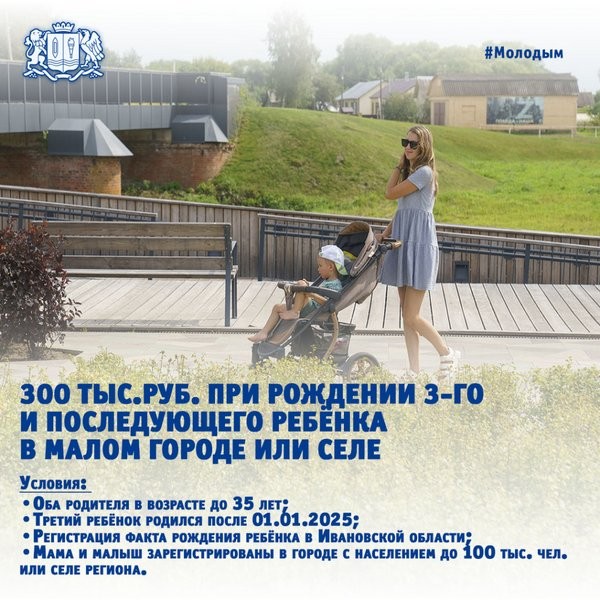 В Ивановской области разработали новые меры демографической и семейной политики фото 6