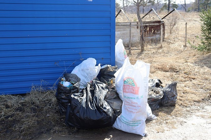 На берегу Волги и Елнать прошли экологические субботники фото 5