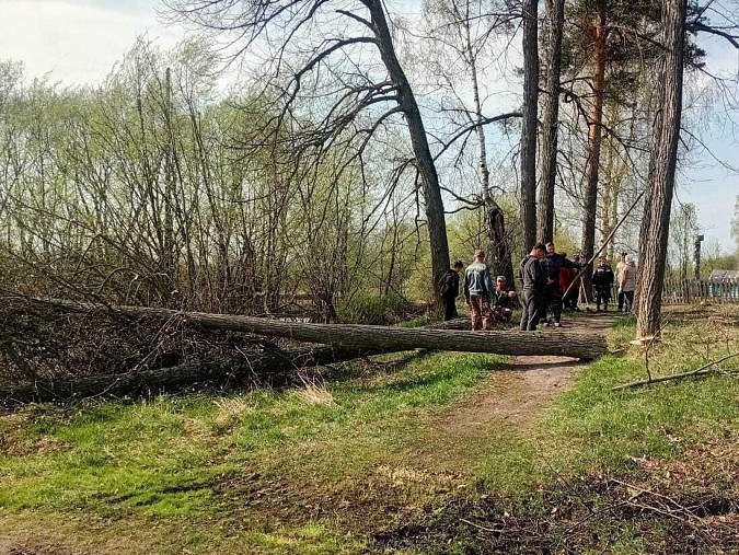 В сельских поселениях Кинешемского района продолжаются субботники фото 10