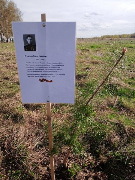 В микрорайоне «Залесье» высажена «Аллеи памяти» фото 2