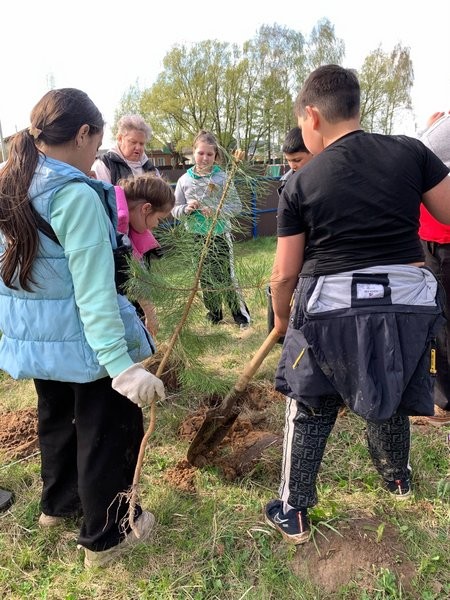 В микрорайоне «Залесье» высажена «Аллеи памяти» фото 3