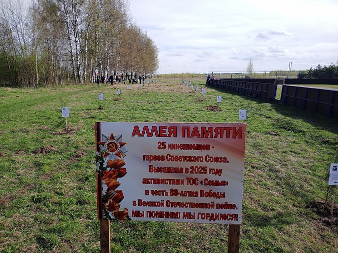 В микрорайоне «Залесье» высажена «Аллеи памяти» фото 7