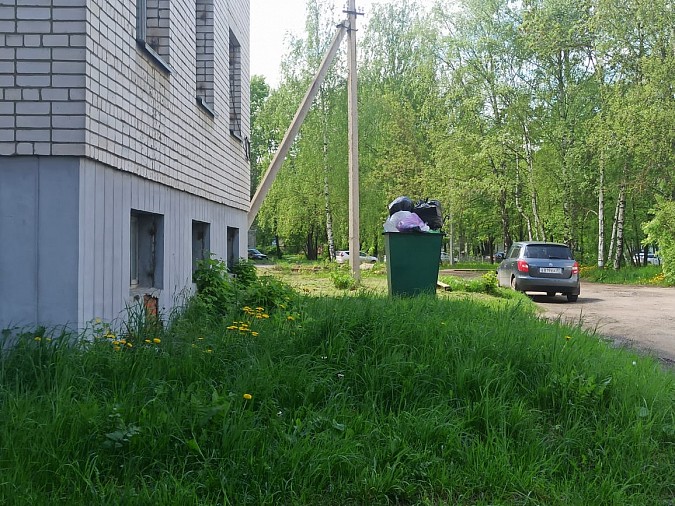 Посетителей центральной библиотеки и ТЮЗа Кинешмы по-прежнему встречает мусорный контейнер фото 3