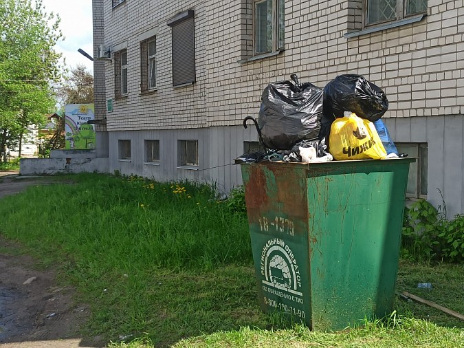 Посетителей центральной библиотеки и ТЮЗа Кинешмы по-прежнему встречает мусорный контейнер фото 2