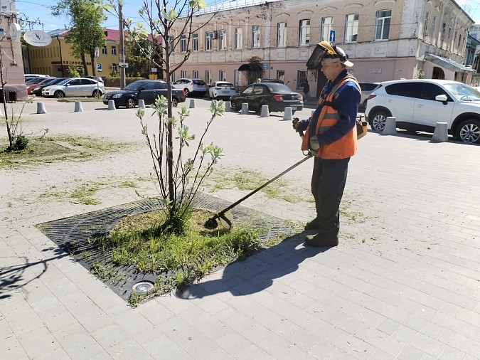 В Кинешме приступили к покосу травы фото 3