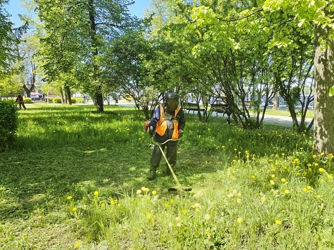 В Кинешме приступили к покосу травы фото 5