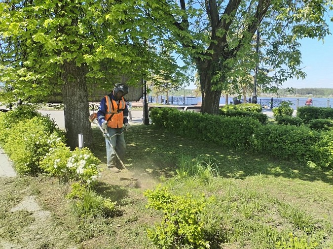 В Кинешме приступили к покосу травы фото 4