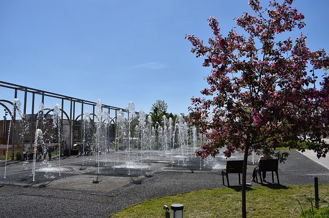 В Кинешме стартовал сезон фонтанов фото 4