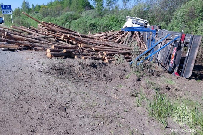 На дороге в Вичугском районе столкнулись лесовоз и легковушка фото 3