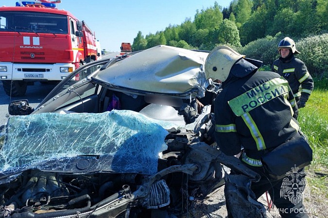 На дороге в Вичугском районе столкнулись лесовоз и легковушка фото 2