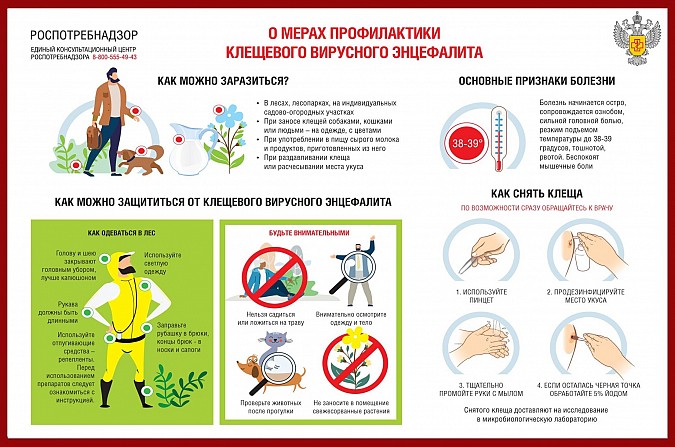В Ивановской области клещевого энцефалита не выявлено фото 2