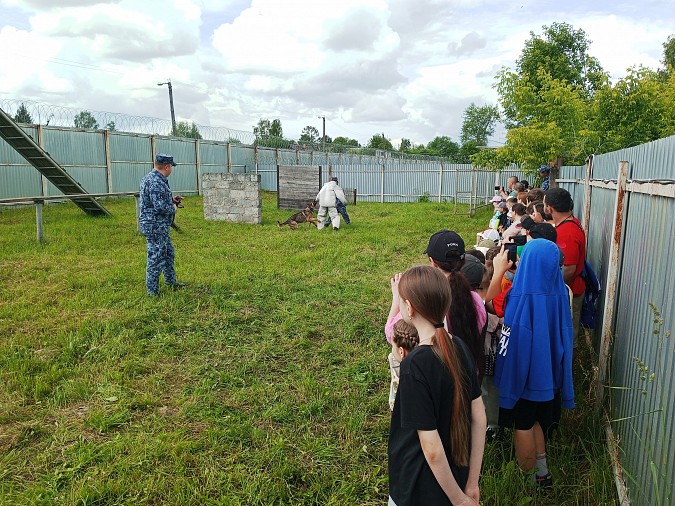 В кинешемской колонии №3 состоялись показательные выступления кинологов фото 2