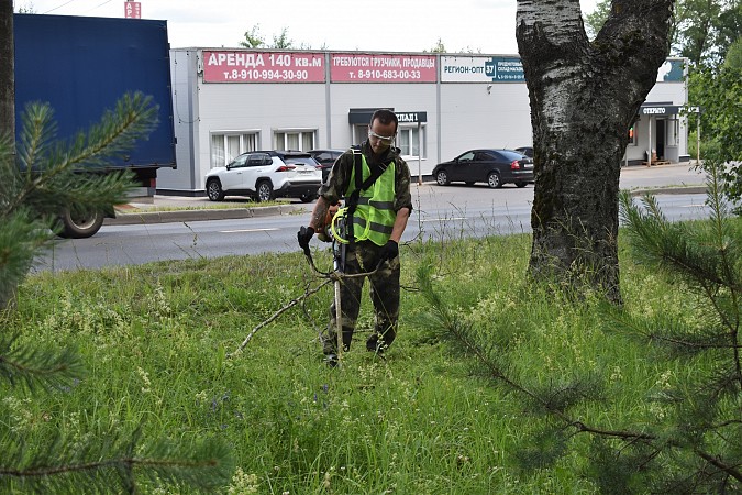 В Кинешме к покосу травы привлекли подрядную организацию фото 4