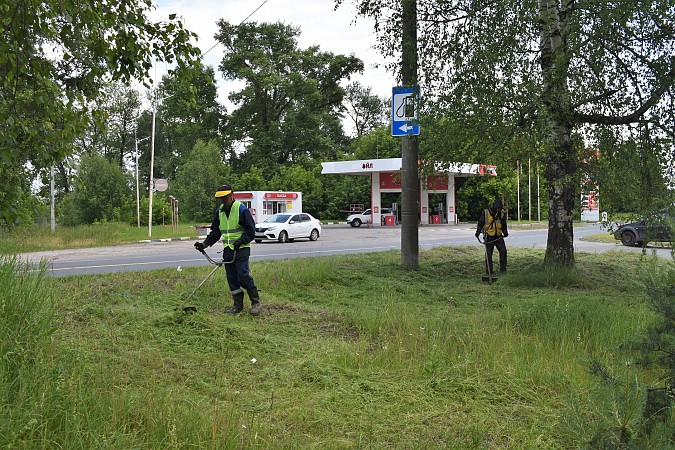 В Кинешме к покосу травы привлекли подрядную организацию фото 3
